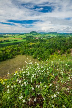 Balaton Uplands, Kali-Basin, Macaristan 'ın klasik Macar manzarası.