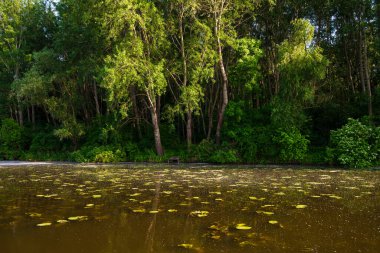 Baharda Raba, Gyirmot, Gyor, Macaristan.