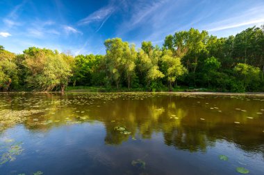 Baharda Raba, Gyirmot, Gyor, Macaristan.