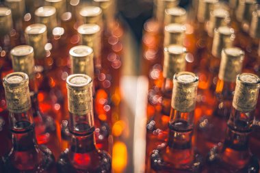 Bodrumda şarap şişeleri. Cabernet Franc şişeleri Macar şarap mahzeninde sıraya dizilmiş tatlı şarabı.