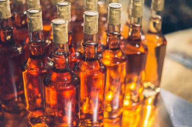 Bodrumda şarap şişeleri. Cabernet Franc şişeleri Macar şarap mahzeninde sıraya dizilmiş tatlı şarabı.