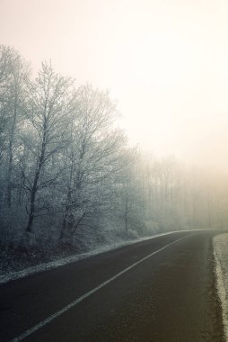 Macaristan, Pannonhalma yakınlarındaki ormandan geçen kış yolu.