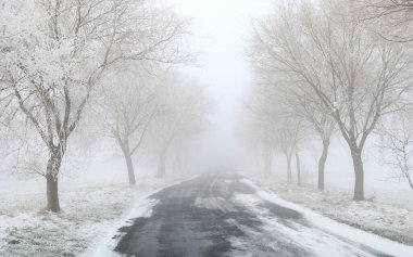 Macaristan 'ın Pannonhalma kenti yakınlarındaki donmuş ağaçlar arasında giden yol.