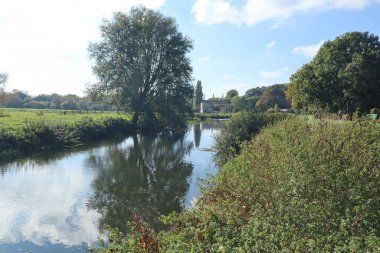 Langport, Somerset 'teki Parrett Nehri' ndeki bir ağacın yansıması.