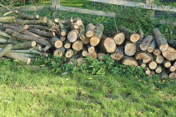 Pile Cut Branches Stacked Fence — Stock Photo, Image