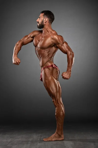 Body Builder Flexing Muscles Studio Shot Tvůrce Těl Svalnatí Muži Royalty Free Stock Fotografie