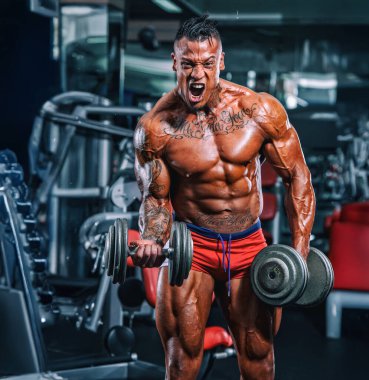 Kas Adam, Vücut Geliştirici Spor salonunda ağırlık kaldıran