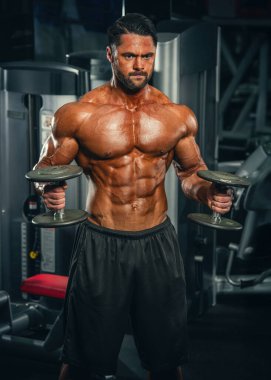 Ağırlık kaldıran kaslı bir adam, halterle biseps çekiç bukleleri yapıyor.