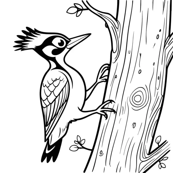 Keskin gagalı bir ağaçkakan Gagalamaya hazır bir ağaca tünemiş