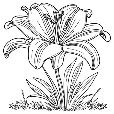 İnce çizgiler ve zarif yapraklarla çizilmiş çiçekli bir zambak çiçeği