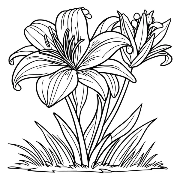 Çimlerle çevrili bir bahçede çiçek açan nilüfer çiçeği çizgisi