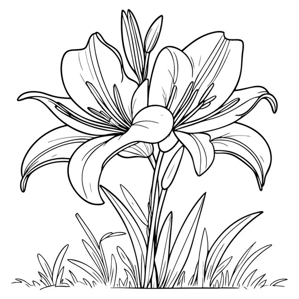 Tomurcukları ve ot elementleriyle karışık zambak çiçeği renk meraklıları için idealdir.