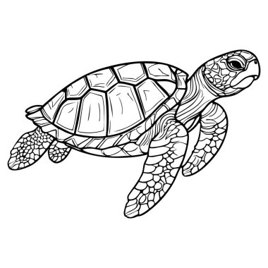 Bir deniz kaplumbağasının desenli kabuk ve yüzgeçlerini gösteren siyah beyaz çizimi