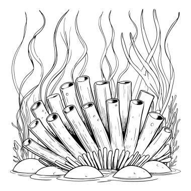 Tüplü süngerler ve su altı bitkilerinin detaylı bir mercan resifi çizimi