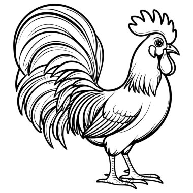 Siyah beyaz çizgili zarif horoz, çiftlik hayvanları boyama eğlencesi için mükemmel.