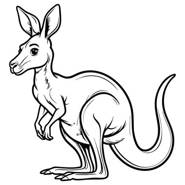 Gerçekçi kanguru tetikte bekliyor, hayvan boyama sayfaları için harika.