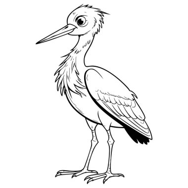 Uzun bacaklı, tuhaf bir ifadesi olan, boyama ve çocuk sanat projeleri için mükemmel bir çizgi film kuşu.