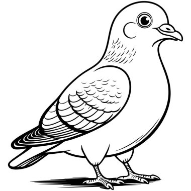 Detaylı tüyleri sakince duran bir çizgi film güvercini. Kuş temalı renklendirme sayfaları ve eğitim materyalleri için elverişli