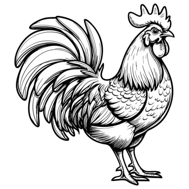 Detaylı sarmal kabuklu, büyük gözlü ve gülen yüzlü dost canlısı bir salyangoz çizgi filmi. Eğlenmek için mükemmel.