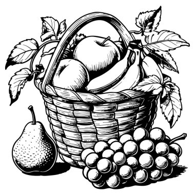 Üzüm, elma ve daha fazlası ile dolu güzel bir meyve sepeti çizimi