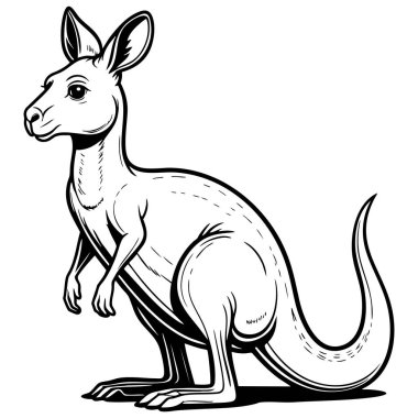 Zarif kanguru çizimi dik duruyor, güçlü kuyruğunu ve kulaklarını gösteriyor, vahşi yaşam boyama sayfaları için ideal.