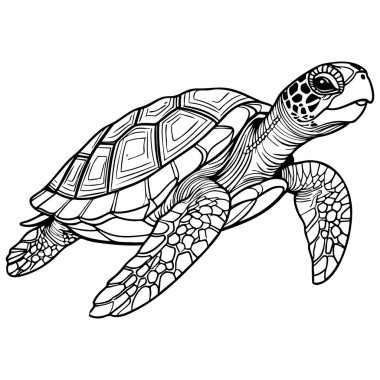Ayrıntılı deniz kaplumbağası çizimi çocuk ve yetişkin boyama aktiviteleri için mükemmel