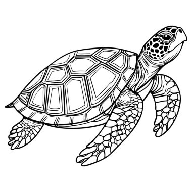 Okyanus kaplumbağası çizgisi kabuğu desenli ve yüzgeçleri rahatlatıcı renklendirici eğlence için.