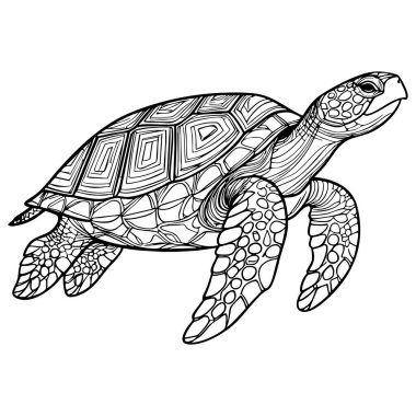 Akan desenli tuhaf deniz kaplumbağası, boyama kitapları ve sanat severler için ideal.