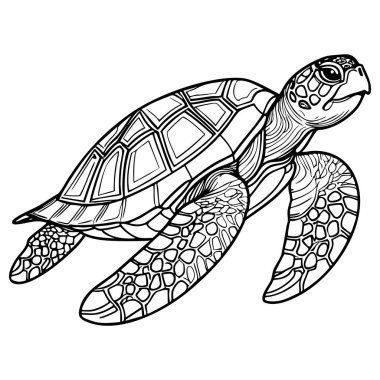 Akan kaplumbağa çizimi stres atmak ve yaratıcı renklendirme oturumları için idealdir.