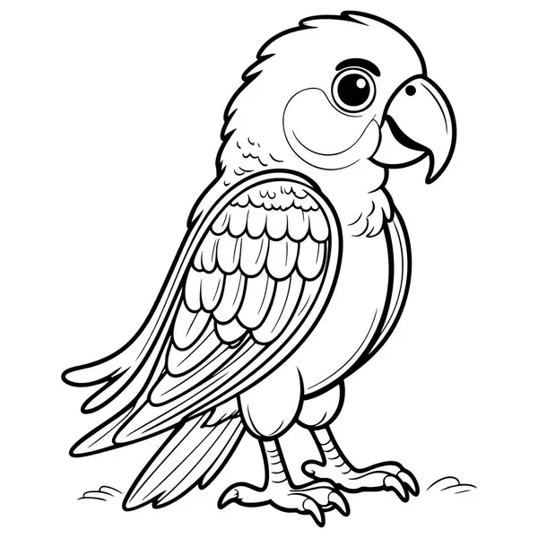 Büyüleyici bir papağan çizimi. Büyük gözleri ve karmaşık tüy desenleri var. Çocuk kitapları ve boyama sayfaları için mükemmel.