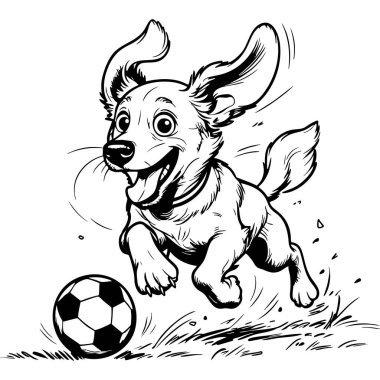 Dışarıda futbol topunu kovalarken mutlu bir şekilde koşan sevimli köpek.