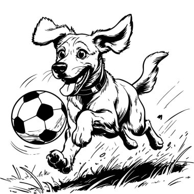 Mutlu bir köpeğin siyah beyaz çizimi. Bir topla koşuyor ve futbol oynuyor.