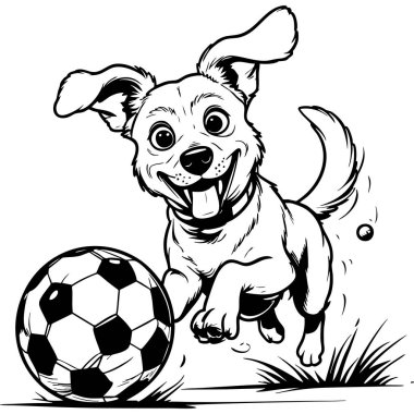 Neşeli bir köpek futbol topunu kovalıyor