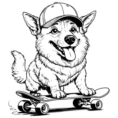 Kaykay süren şirin bir Corgi köpeği.