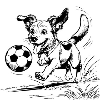 Şirin köpek futbol topuyla mutlu bir şekilde koşuyor.