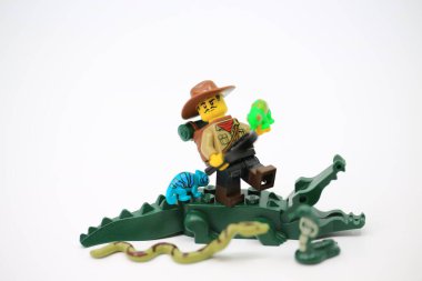  Hong Kong -January 2 2023: snake researcher take care the reptile and try to study them