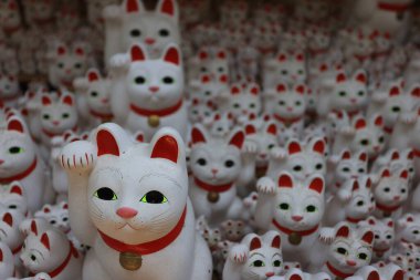 Tokyo Japonya - 2 Mayıs 2023: Gotokuji, Tokyo 'daki ünlü kedi mabedi.