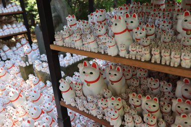 Tokyo Japonya - 2 Mayıs 2023: Gotokuji, Tokyo 'daki ünlü kedi mabedi.