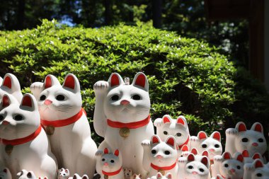 Tokyo Japonya - 2 Mayıs 2023: Gotokuji, Tokyo 'daki ünlü kedi mabedi.