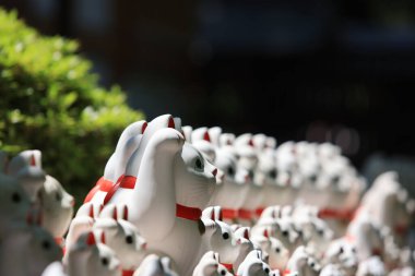 Tokyo Japonya - 2 Mayıs 2023: Gotokuji, Tokyo 'daki ünlü kedi mabedi.