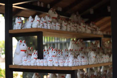 Tokyo Japonya - 2 Mayıs 2023: Gotokuji, Tokyo 'daki ünlü kedi mabedi.