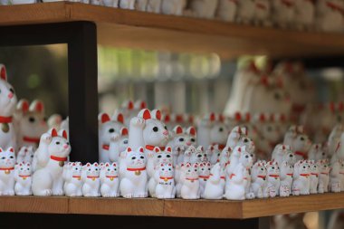 Tokyo Japonya - 2 Mayıs 2023: Gotokuji, Tokyo 'daki ünlü kedi mabedi.