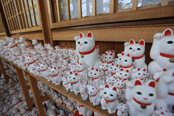 Tóquio Japão Maio 2023 Famoso Santuário Gatos Tokyo Que Gato — Fotografia de Stock