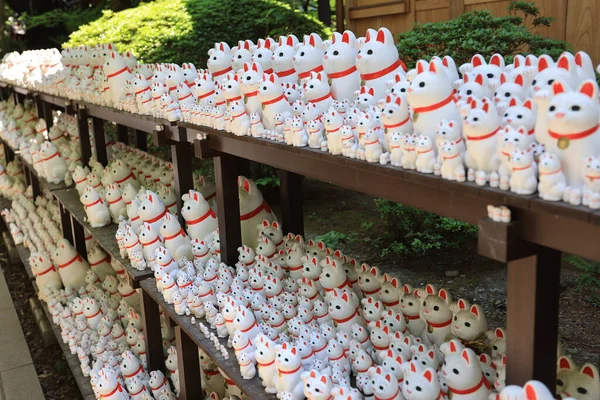 Tóquio Japão Maio 2023 Famoso Santuário Gatos Tokyo Que Gato — Fotografia de Stock
