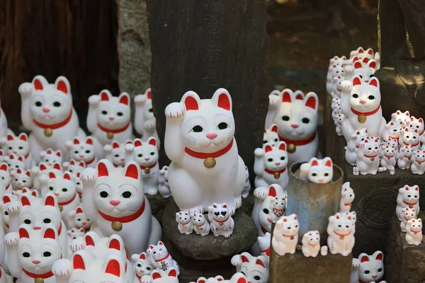 Tokyo Japan May2 2023 Gotokuji Famous Cat Shrine Tokyo Which — Stock Photo, Image