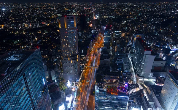 Tokyo Skyline Nuit Une Vue Horizontale — Photo