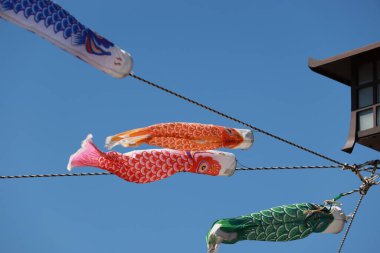 Koinobori Japonya 'da çocuklar gününde gökyüzünde uçtu.