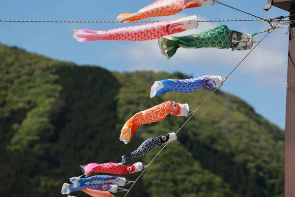 Koinobori Volato Nel Cielo Durante Giornata Dei Bambini Giappone — Foto Stock