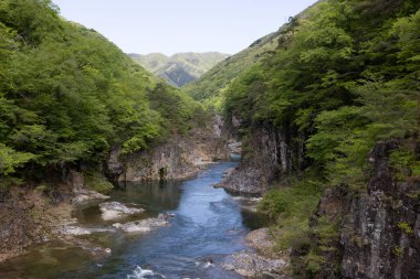 Ryuokyo, Kinugawa Nehri 'nin güzel manzarasıdır.