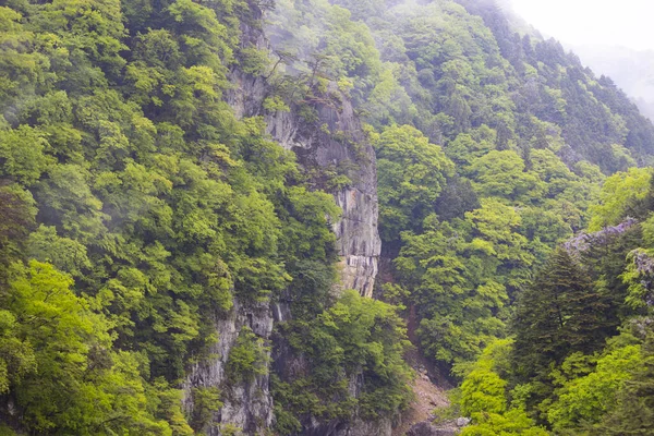 Kinugawa nehri ve Kinugawa kasabasının güzel manzarası.